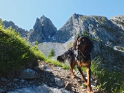 Il nostro primo bel Cimon della Bagozza (2408 m.) il 30 giugno 2013- FOTOGALLERY